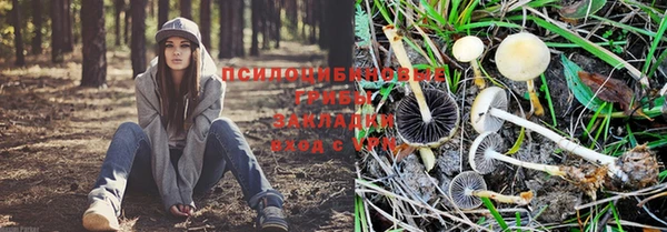 винт Балабаново
