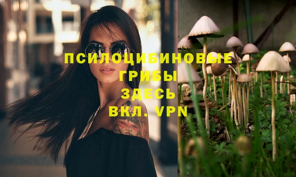 мескалин Баксан